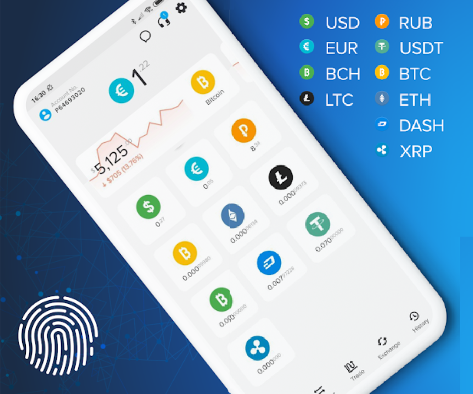 PAYEER (Online Wallets)
